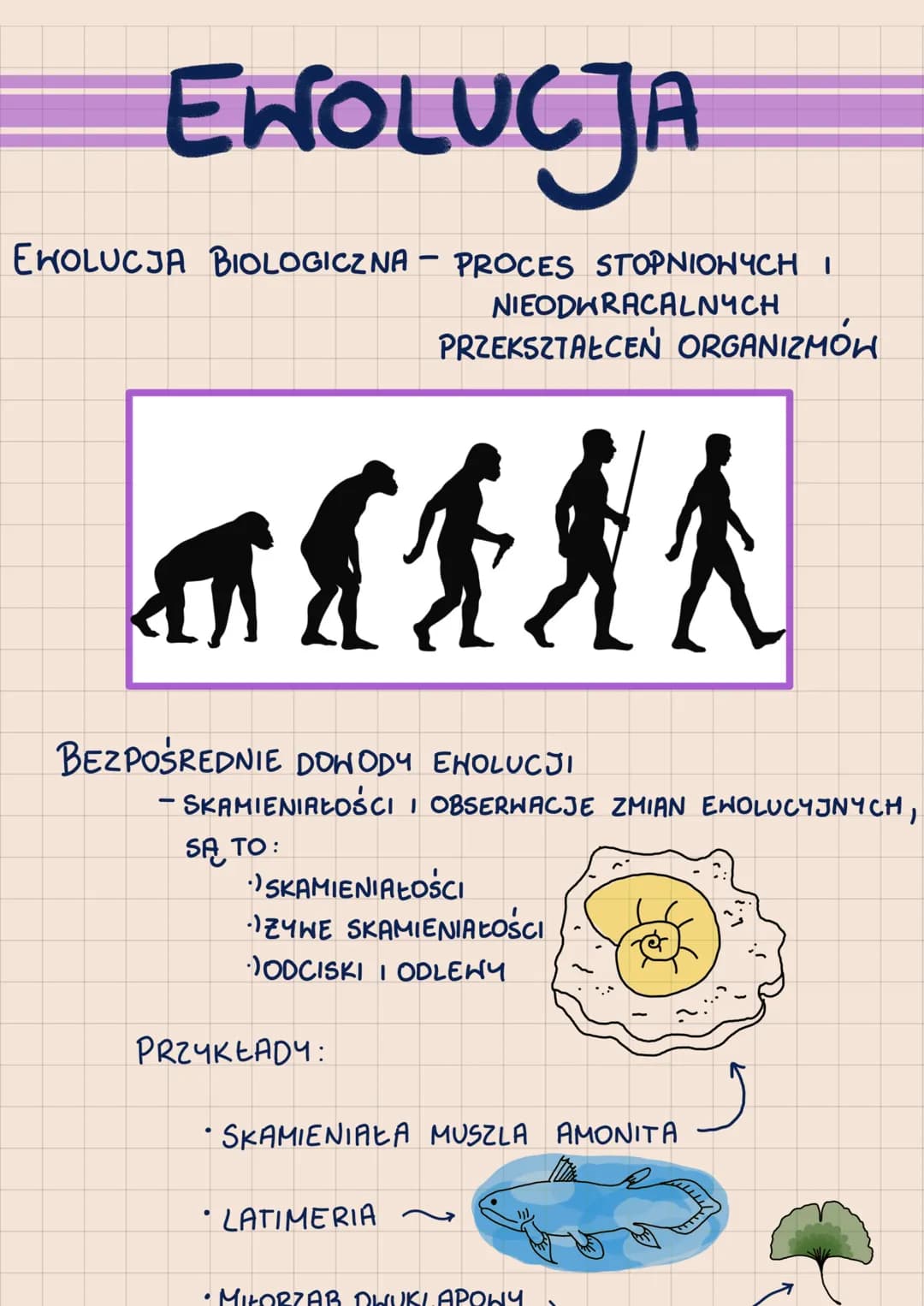 EWOLUCJA
EHOLUCJA BIOLOGICZNA PROCES STOPNIONYCH I
NIEODWRACALNYCH
PRZEKSZTAŁCEŃ ORGANIZMÓW
a f f d k
身
-
BEZPOŚREDNIE DOWODY ENOLUCJI
- SKA