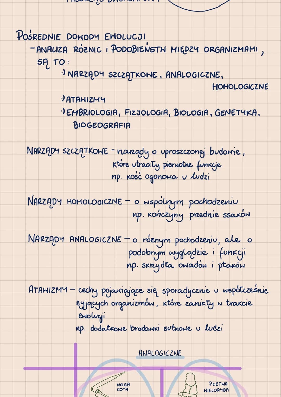 EWOLUCJA
EHOLUCJA BIOLOGICZNA PROCES STOPNIONYCH I
NIEODWRACALNYCH
PRZEKSZTAŁCEŃ ORGANIZMÓW
a f f d k
身
-
BEZPOŚREDNIE DOWODY ENOLUCJI
- SKA