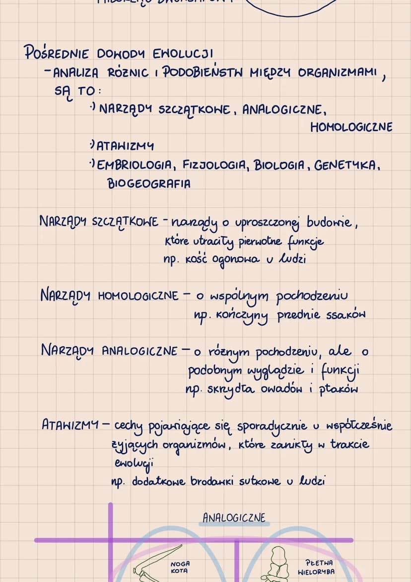 EWOLUCJA
EHOLUCJA BIOLOGICZNA PROCES STOPNIONYCH I
NIEODWRACALNYCH
PRZEKSZTAŁCEŃ ORGANIZMÓW
a f f d k
身
-
BEZPOŚREDNIE DOWODY ENOLUCJI
- SKA