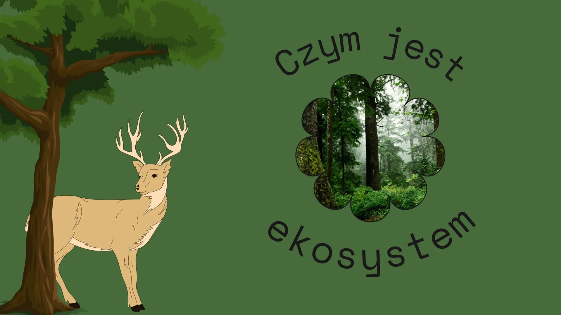 Czym
jest
kosustem W poprzednich klasach uczyliśmy się
czym są w przyrodzie elementy
ożywione i nieożywione.
Wiemy o tym że pomiędzy nimi
po
