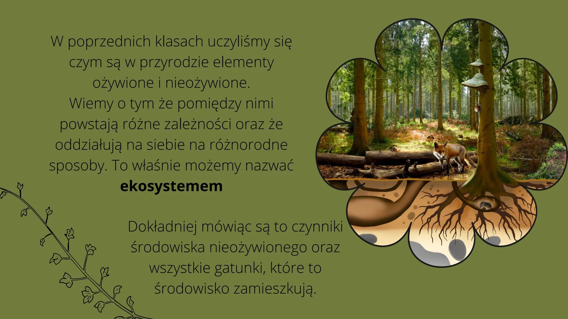 Czym
jest
kosustem W poprzednich klasach uczyliśmy się
czym są w przyrodzie elementy
ożywione i nieożywione.
Wiemy o tym że pomiędzy nimi
po