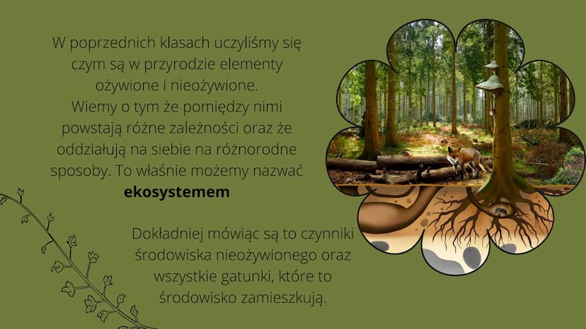 Czym
jest
kosustem W poprzednich klasach uczyliśmy się
czym są w przyrodzie elementy
ożywione i nieożywione.
Wiemy o tym że pomiędzy nimi
po