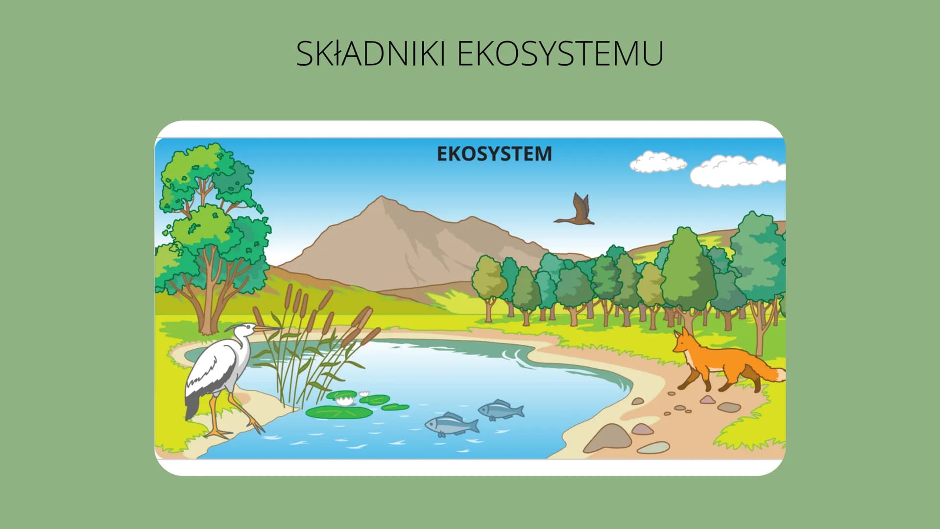 Czym
jest
kosustem W poprzednich klasach uczyliśmy się
czym są w przyrodzie elementy
ożywione i nieożywione.
Wiemy o tym że pomiędzy nimi
po