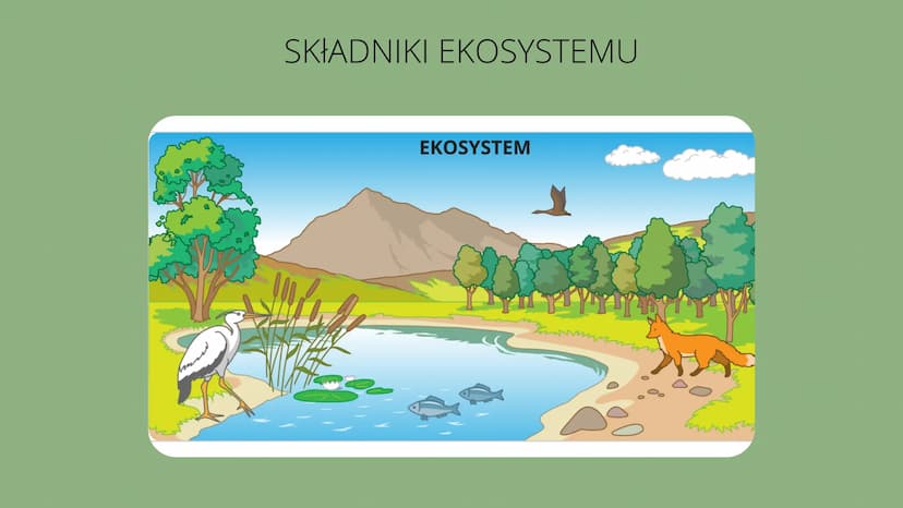 Czym
jest
kosustem W poprzednich klasach uczyliśmy się
czym są w przyrodzie elementy
ożywione i nieożywione.
Wiemy o tym że pomiędzy nimi
po