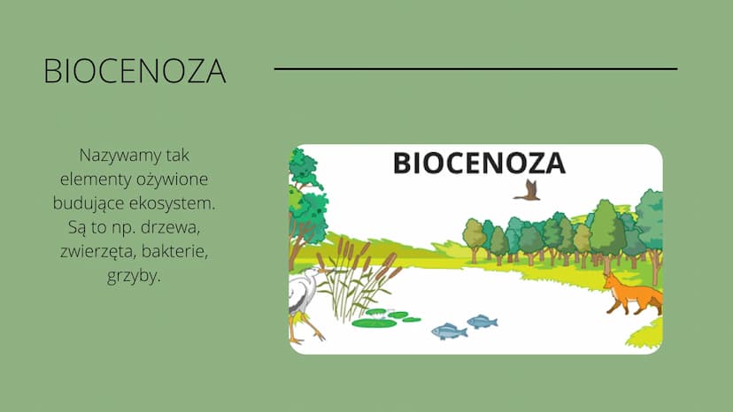 Czym
jest
kosustem W poprzednich klasach uczyliśmy się
czym są w przyrodzie elementy
ożywione i nieożywione.
Wiemy o tym że pomiędzy nimi
po