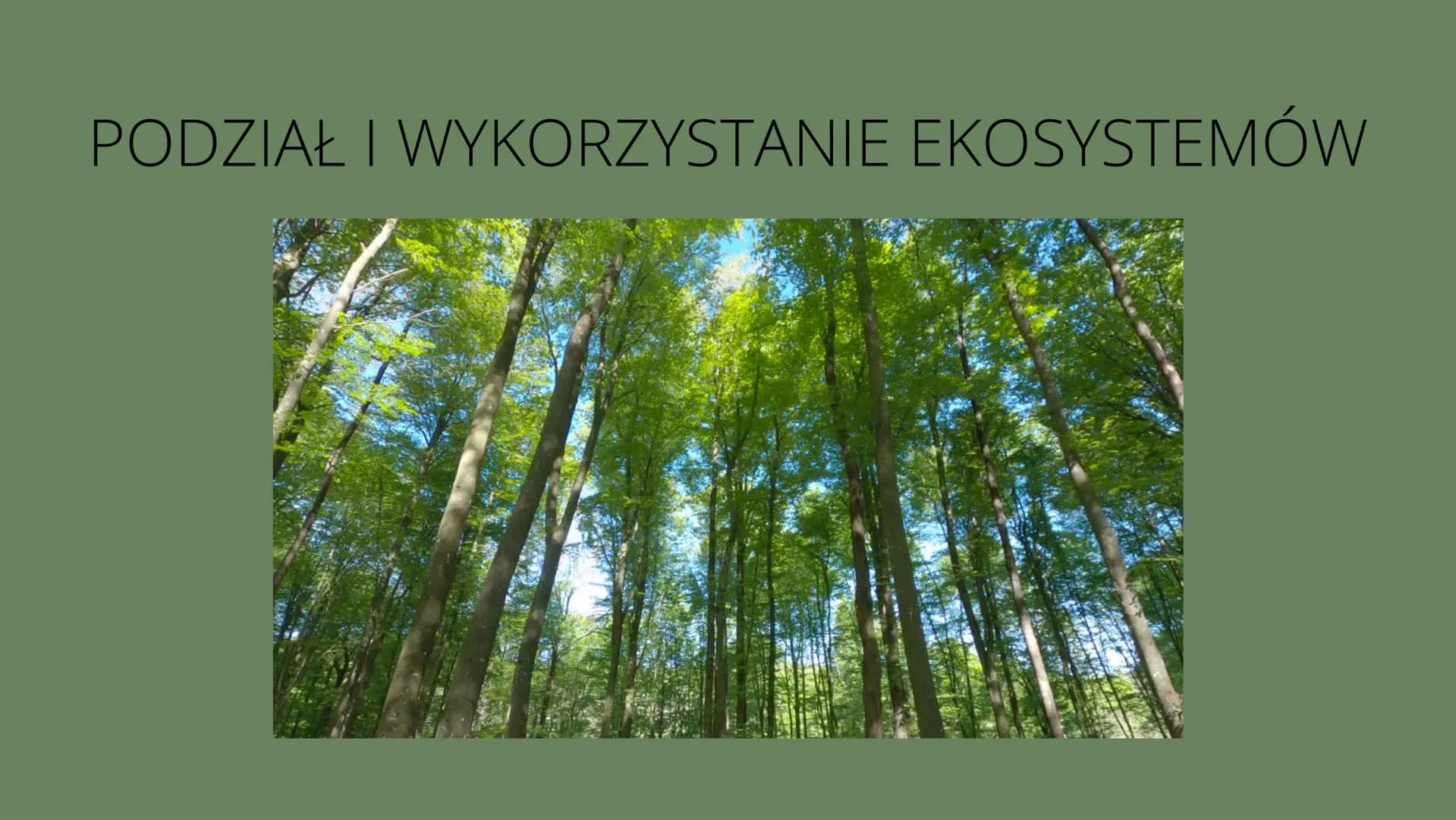 Czym
jest
kosustem W poprzednich klasach uczyliśmy się
czym są w przyrodzie elementy
ożywione i nieożywione.
Wiemy o tym że pomiędzy nimi
po