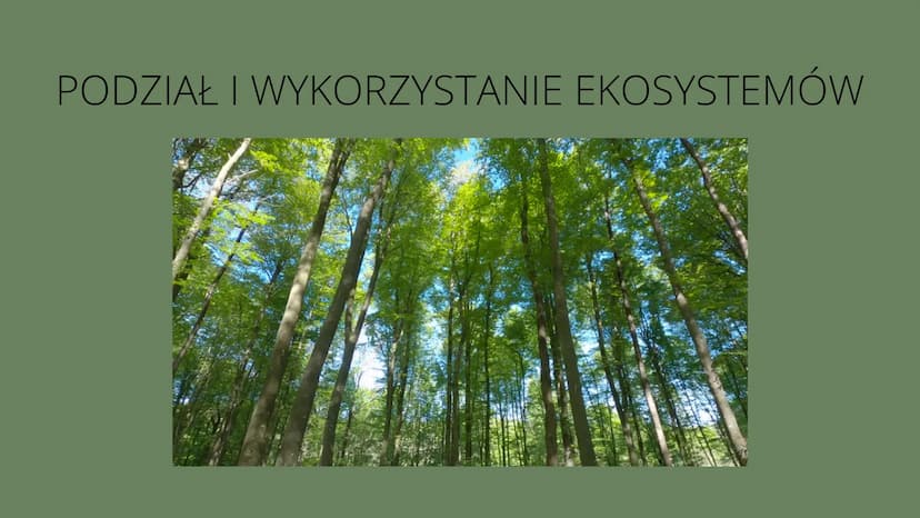 Czym
jest
kosustem W poprzednich klasach uczyliśmy się
czym są w przyrodzie elementy
ożywione i nieożywione.
Wiemy o tym że pomiędzy nimi
po
