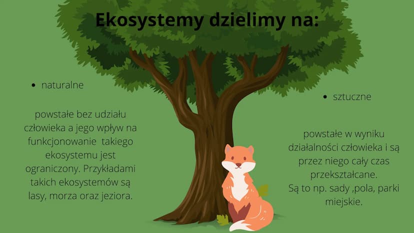Czym
jest
kosustem W poprzednich klasach uczyliśmy się
czym są w przyrodzie elementy
ożywione i nieożywione.
Wiemy o tym że pomiędzy nimi
po