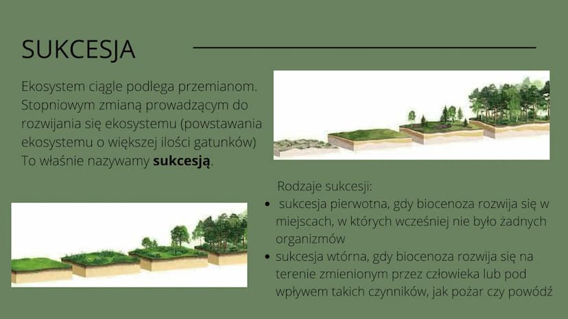 Czym
jest
kosustem W poprzednich klasach uczyliśmy się
czym są w przyrodzie elementy
ożywione i nieożywione.
Wiemy o tym że pomiędzy nimi
po