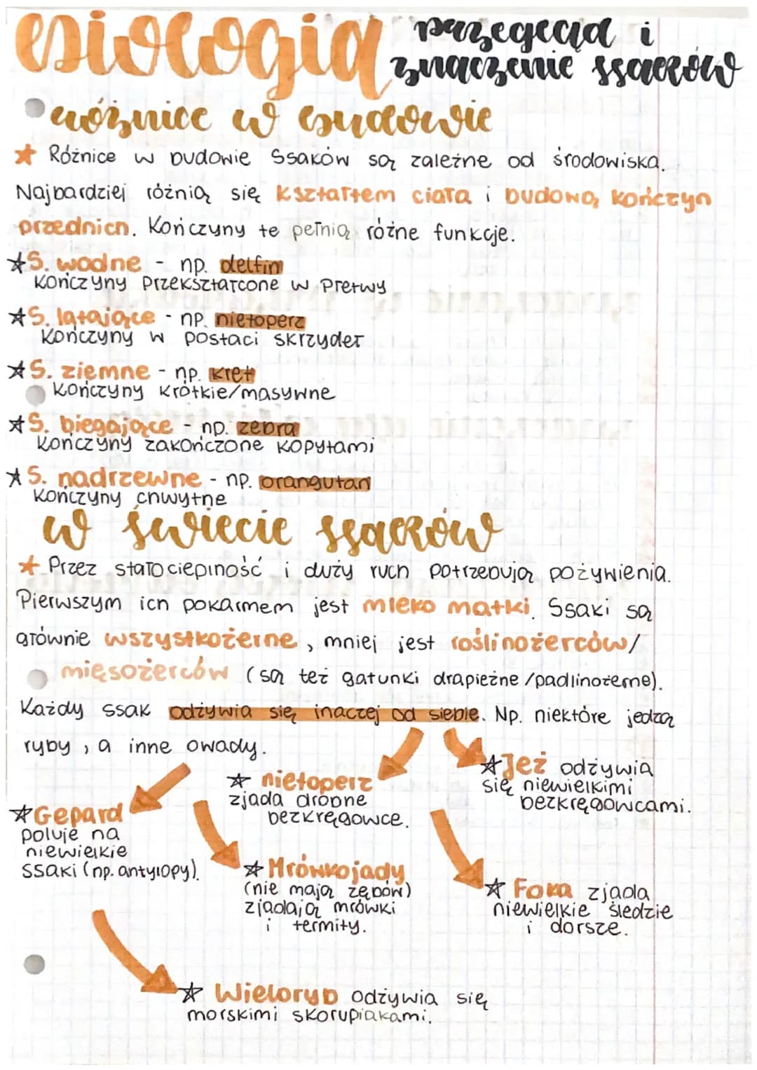 esiologia puregedia i
avoinice w budowie
wóisnice
Różnice w budowie ssaków są zależne od środowiska.
Najbardziej różnią się ksztartem ciata 