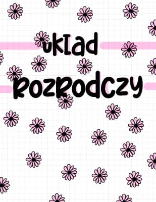 Know Budowa i funkcje narządów płciowych thumbnail