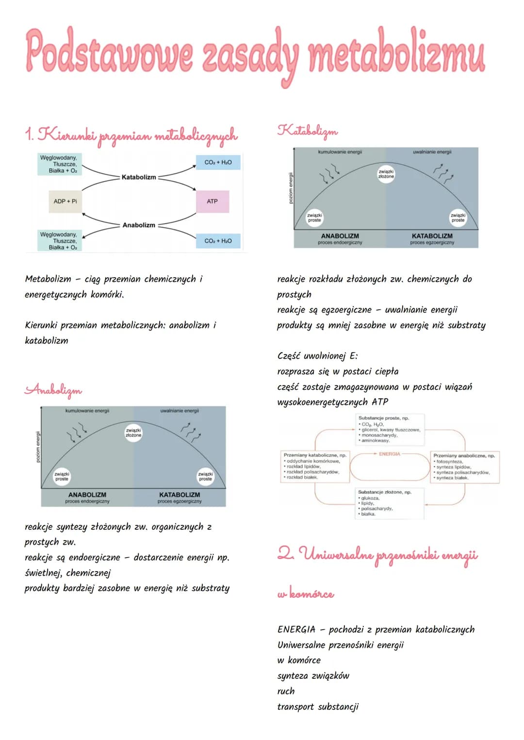 Podstawowe zasady metabolizmu
1. Kierunki przemian metabolicznych
Węglowodany,
Tłuszcze,
Białka + O₂
ADP + Pi
Węglowodany.
Tłuszcze,
Bialka 