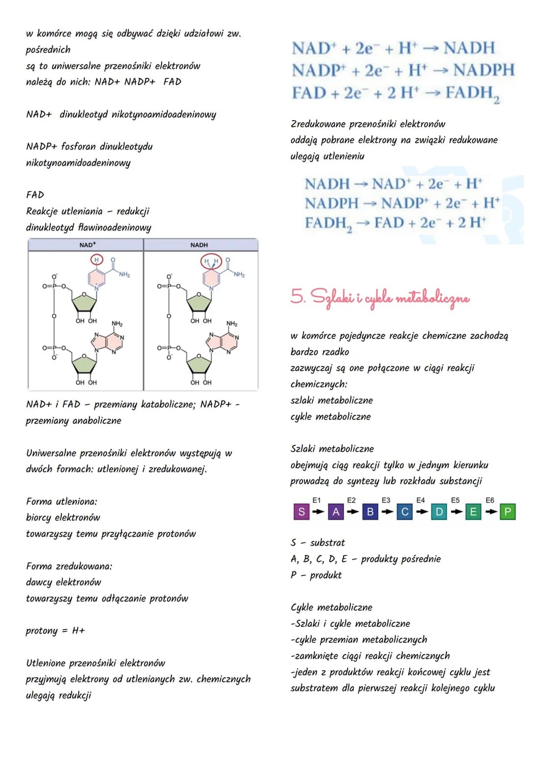 Podstawowe zasady metabolizmu
1. Kierunki przemian metabolicznych
Węglowodany,
Tłuszcze,
Białka + O₂
ADP + Pi
Węglowodany.
Tłuszcze,
Bialka 