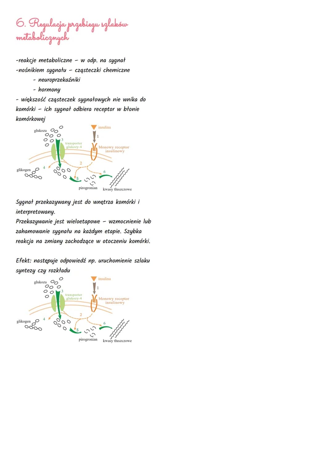 Podstawowe zasady metabolizmu
1. Kierunki przemian metabolicznych
Węglowodany,
Tłuszcze,
Białka + O₂
ADP + Pi
Węglowodany.
Tłuszcze,
Bialka 