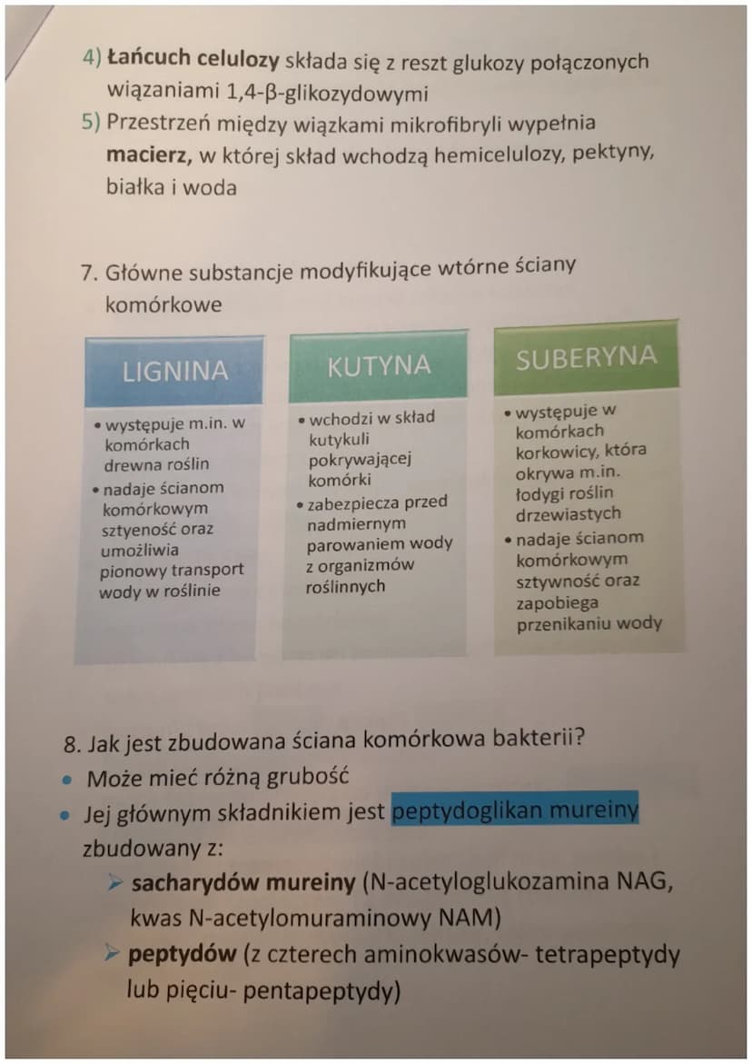 ŚCIANA KOMÓRKOWA
1. Czym jest ściana komórkowa?
Ściana komórkowa jest zewnętrzną warstwą komórek
bakterii, roślin, grzybów i niektórych prot