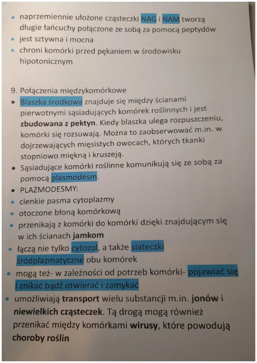 ŚCIANA KOMÓRKOWA
1. Czym jest ściana komórkowa?
Ściana komórkowa jest zewnętrzną warstwą komórek
bakterii, roślin, grzybów i niektórych prot