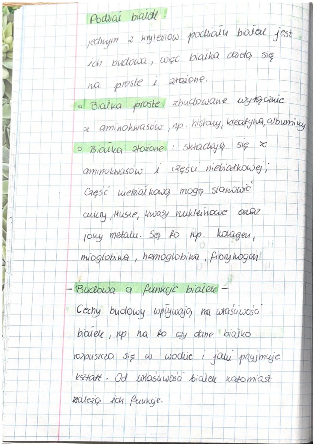 weglowodany
• STANOWIĄ ZRODIO ENERGII
MATERIAL BUDULCOWY (FUNVUJA BUDULCOWA)
O
Ⓡ
FUNKUJA MAGAZYNUJĄCA
CUKRY.
cukry /saharydy
• PROSTE
monosa