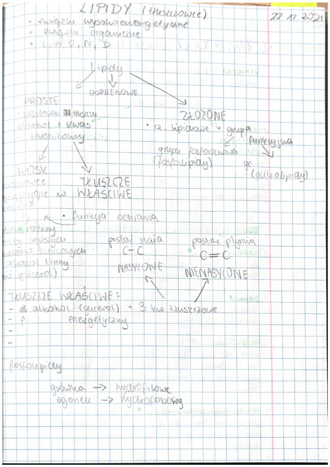 weglowodany
• STANOWIĄ ZRODIO ENERGII
MATERIAL BUDULCOWY (FUNVUJA BUDULCOWA)
O
Ⓡ
FUNKUJA MAGAZYNUJĄCA
CUKRY.
cukry /saharydy
• PROSTE
monosa