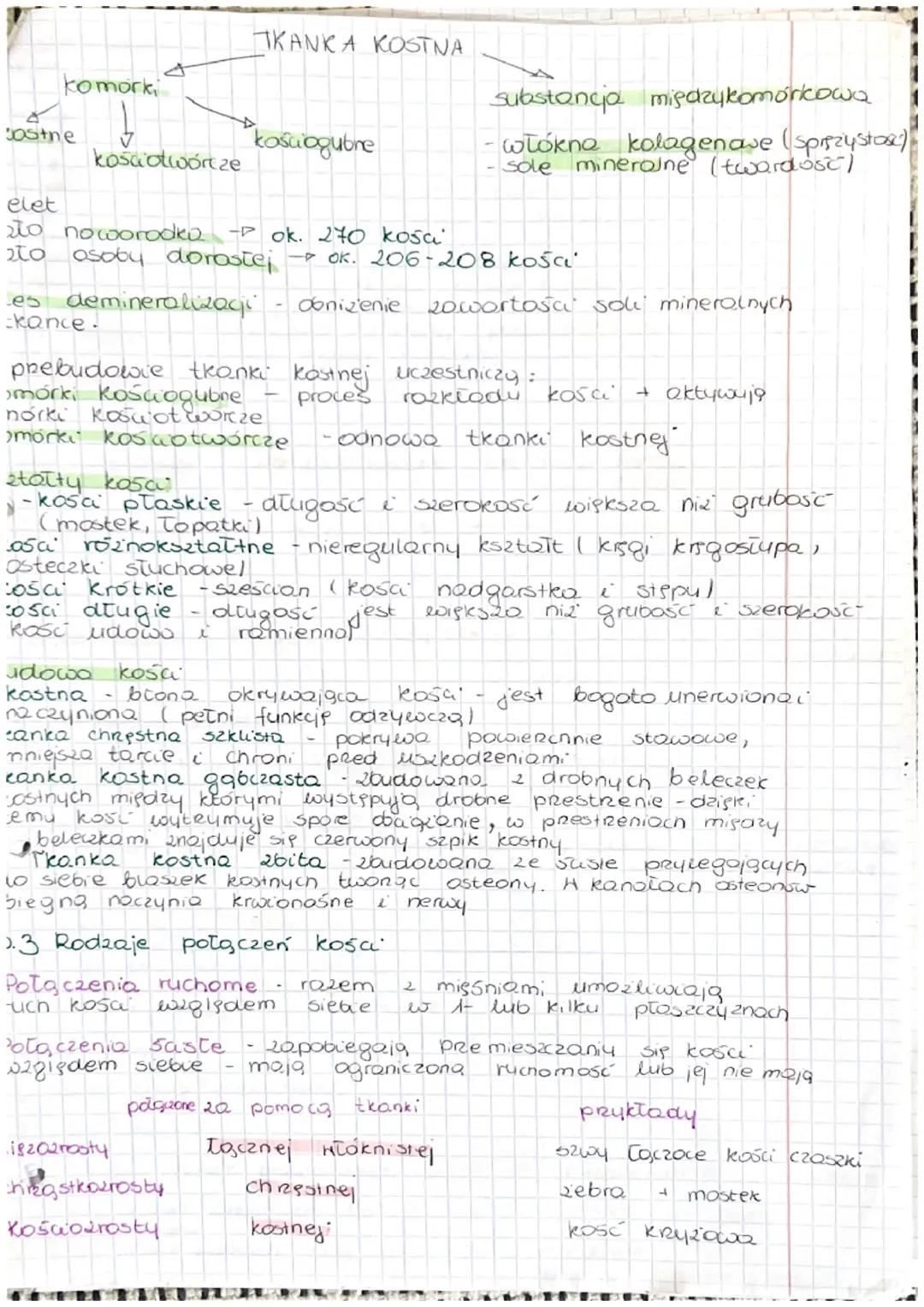 3. 1 Ruch u swiengt
Rodzaje ruchu
S
Ręskowy
• oparty no ruchu essek inic
-odpowiada
20 niego tutalling
(białko kurczliwel
-Charakterystyczny