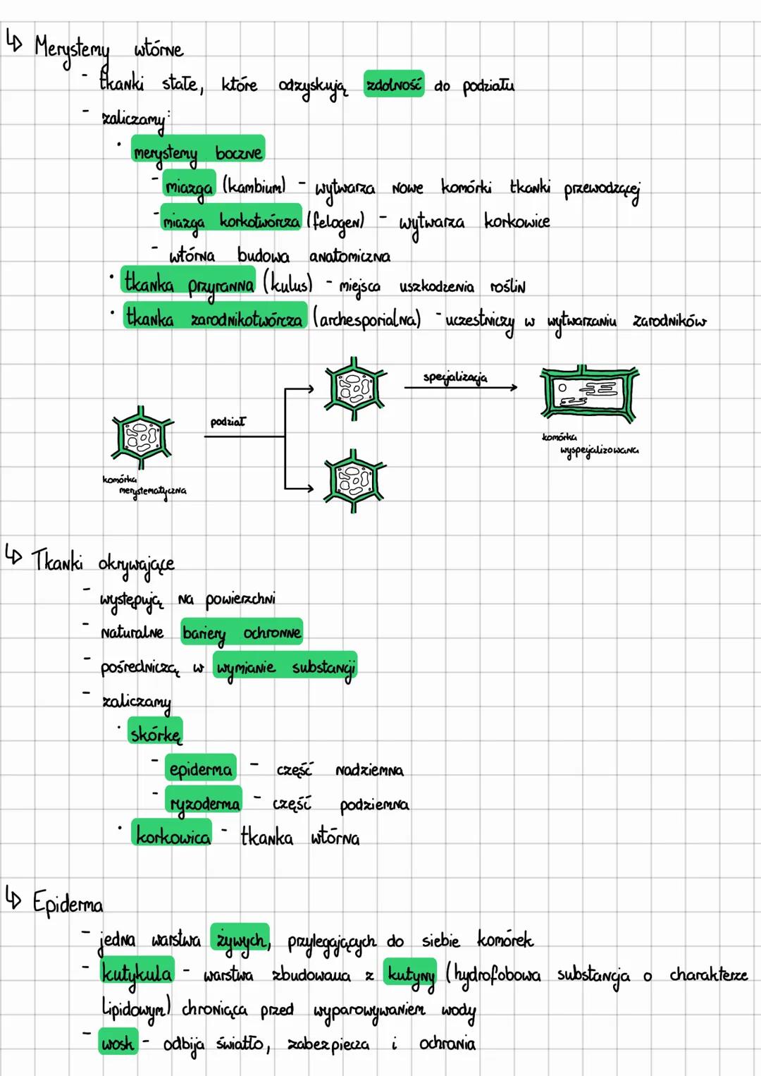 ~Thanki roślinne
Kryterium podziału
Zdolność komórek
do dzielenia się
Obecność komórek
żywych
Poziom zróżnicowania
komórek
wchodzących w skł