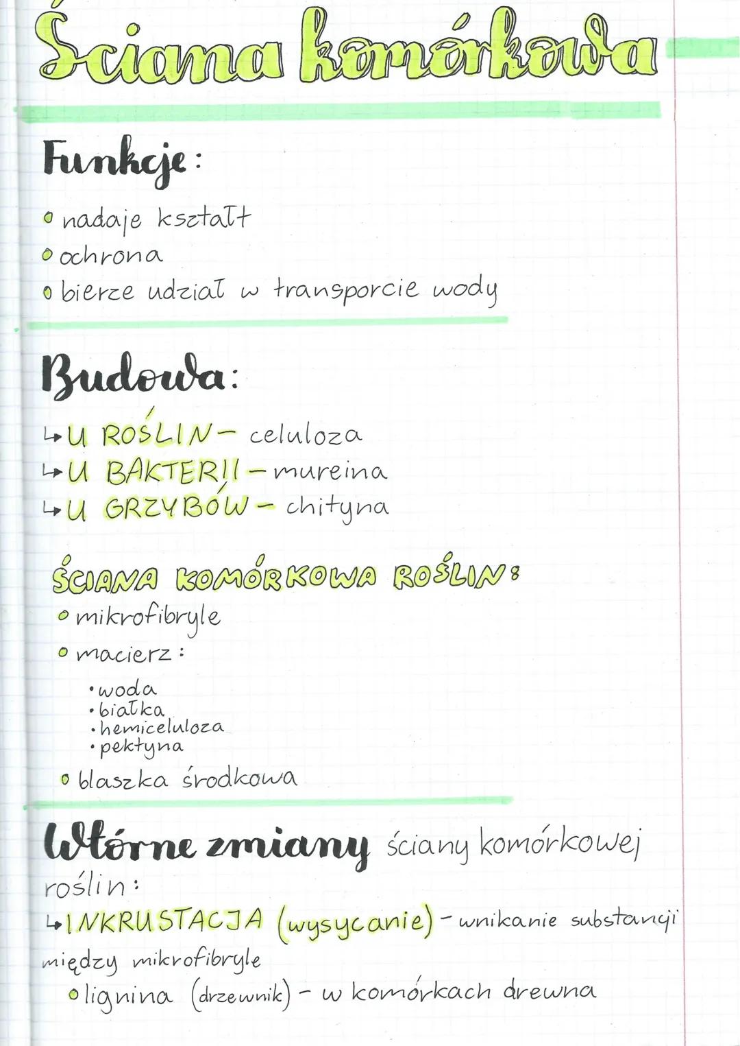 # Sciana komórkowa

Funkcje:
* nadaje kształt
* ochrona
* bierze udział w transporcie wody

Budowa:
* U ROŚLIN- celuloza
* U BAKTERII-murein