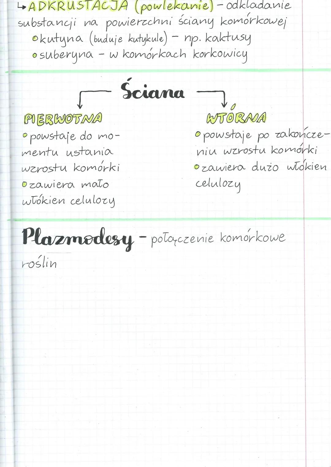 # Sciana komórkowa

Funkcje:
* nadaje kształt
* ochrona
* bierze udział w transporcie wody

Budowa:
* U ROŚLIN- celuloza
* U BAKTERII-murein