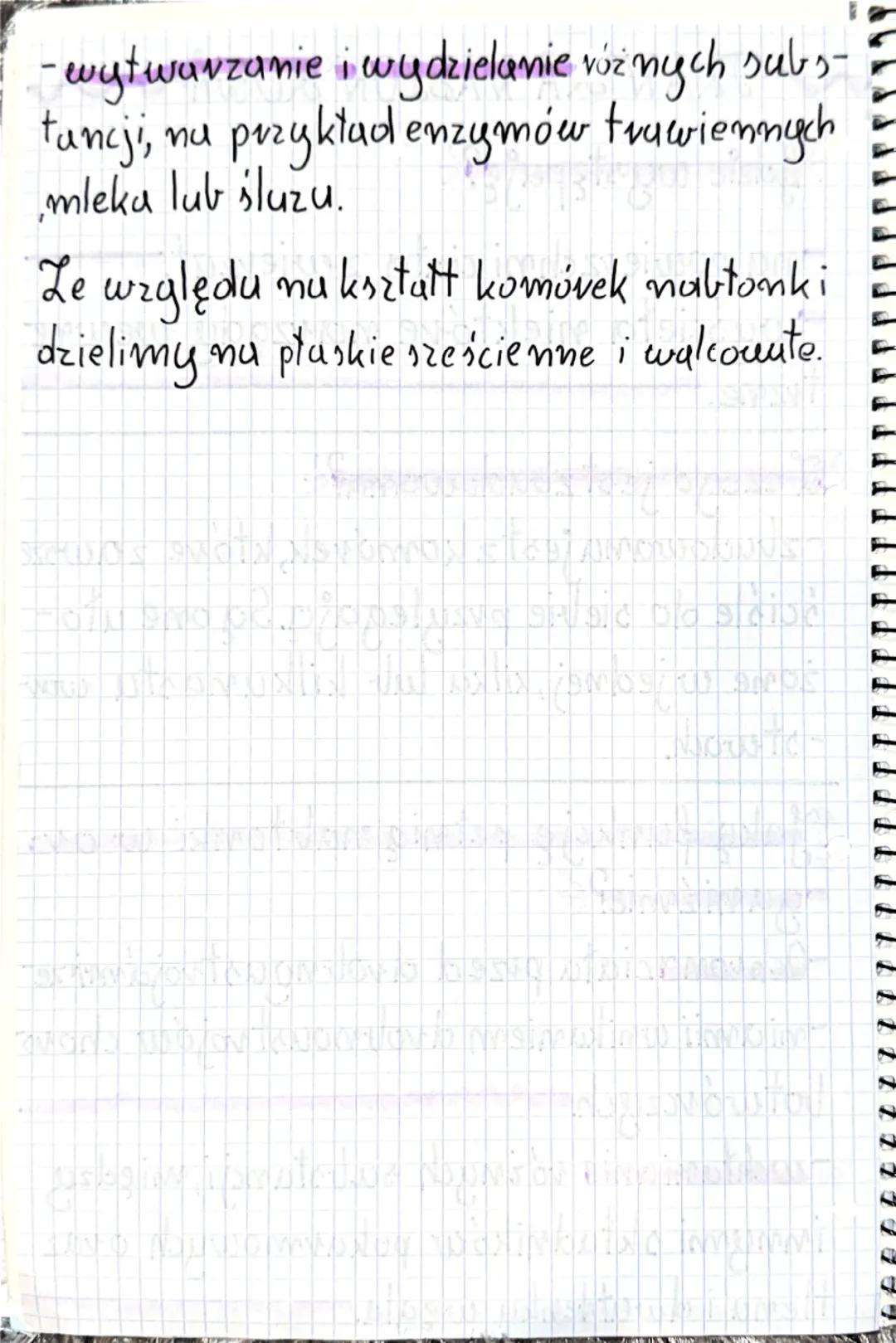 ~~~TKAN KA NABŁONKOWA~~~

Gdzie występuję?
- na powierzchni ciała zevierząt.
- wyścieła niektóre narządy wewnę
trzne.

I czego jest zbudowan