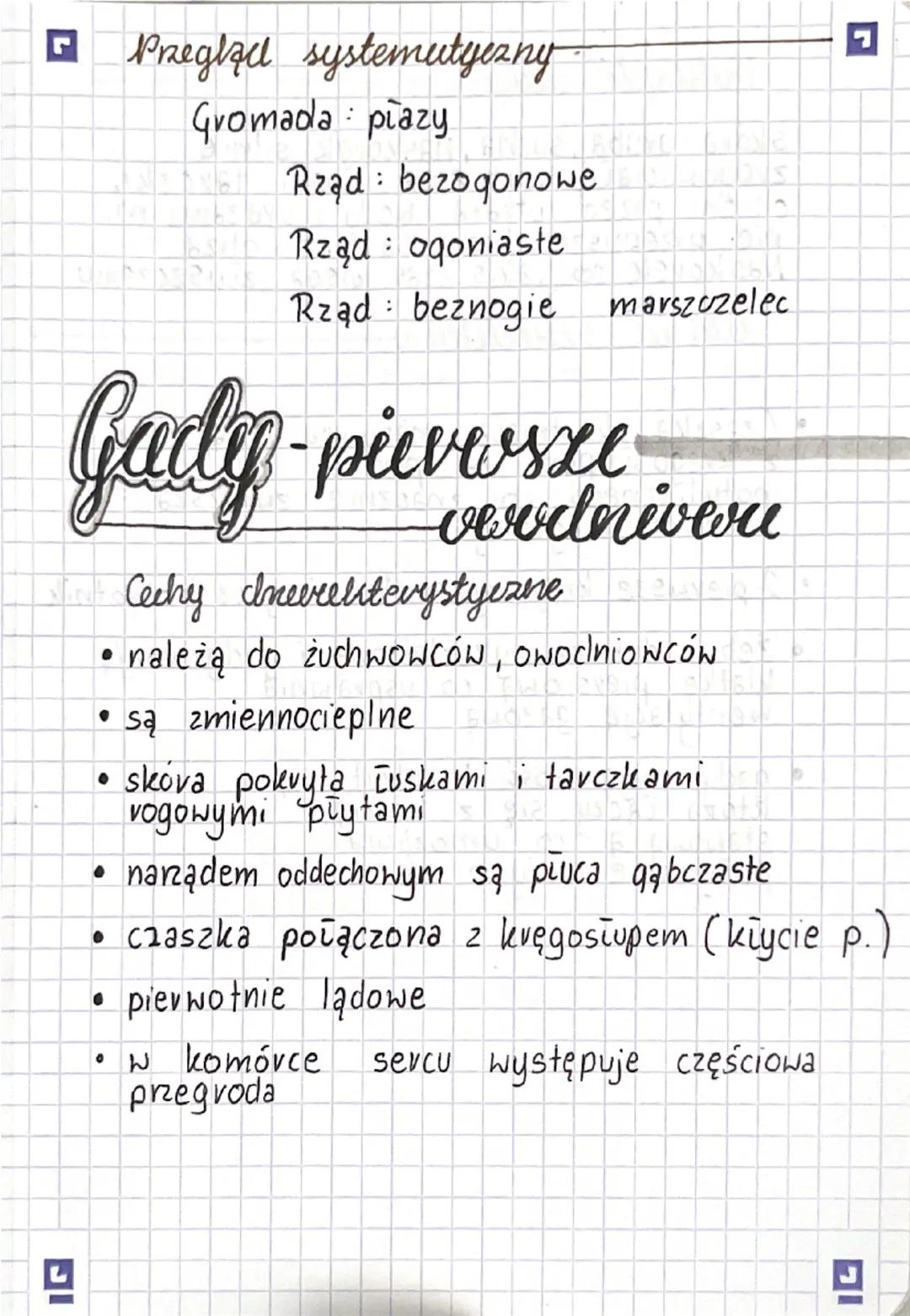 ◉Przegląd systematyczny
Gromada plazy
Rząd: bezogonowe
:
Rząd ogoniaste
Rząd: beznogie
Gady-pievosse
marszczelec
verdniver
Cechy Inevrektery