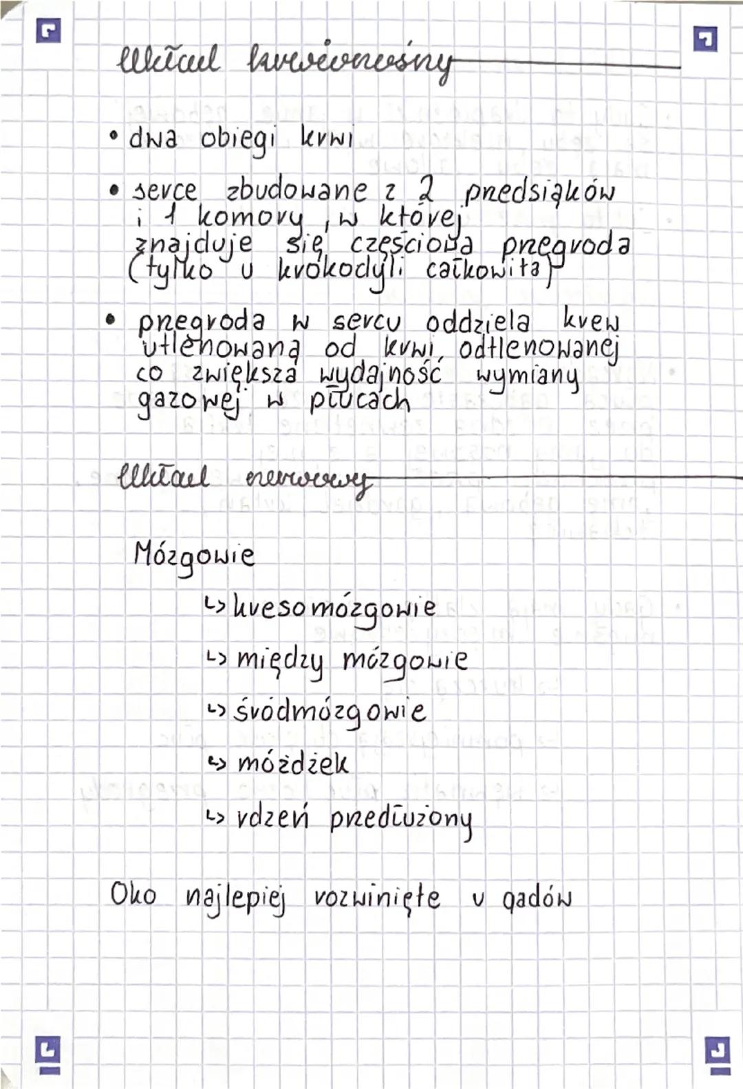◉Przegląd systematyczny
Gromada plazy
Rząd: bezogonowe
:
Rząd ogoniaste
Rząd: beznogie
Gady-pievosse
marszczelec
verdniver
Cechy Inevrektery