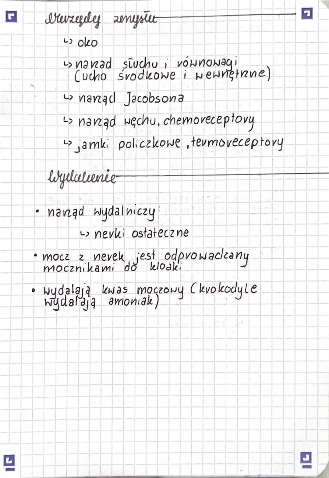 ◉Przegląd systematyczny
Gromada plazy
Rząd: bezogonowe
:
Rząd ogoniaste
Rząd: beznogie
Gady-pievosse
marszczelec
verdniver
Cechy Inevrektery