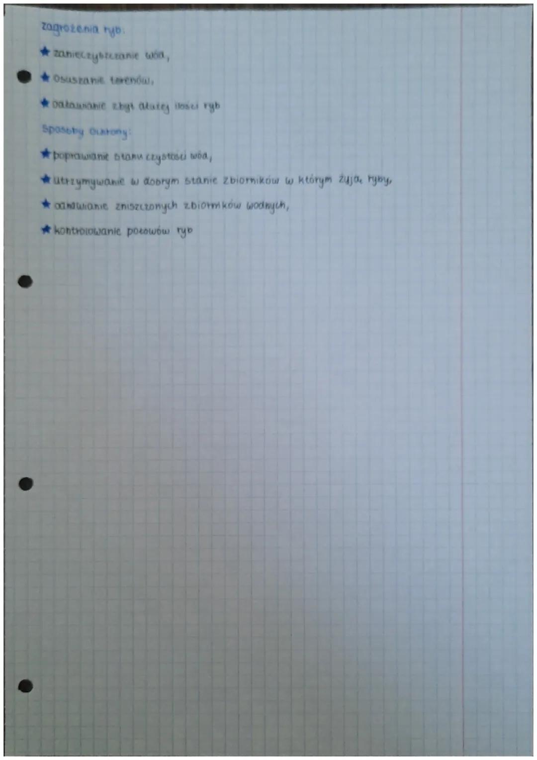 -przegląd i
znaczenie ryb

Różne kształty ciata u ryb

Większość ryb ma opływowy ksztart ciała ułatwiający pokonywanie oporu
wody. Zwykle te