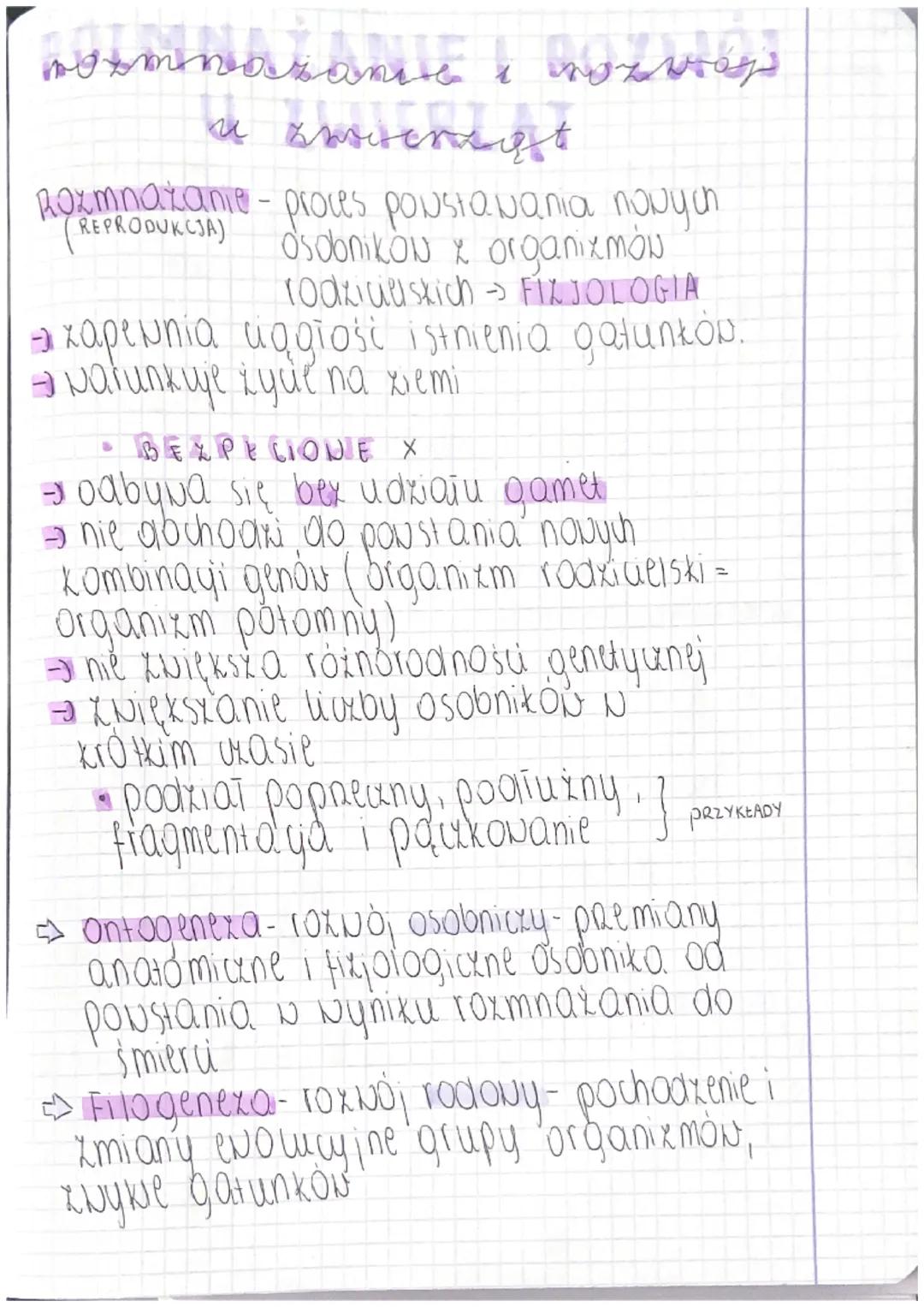 Rozmnażanie i rozwój zwierząt: Wyjaśnienia i przykład