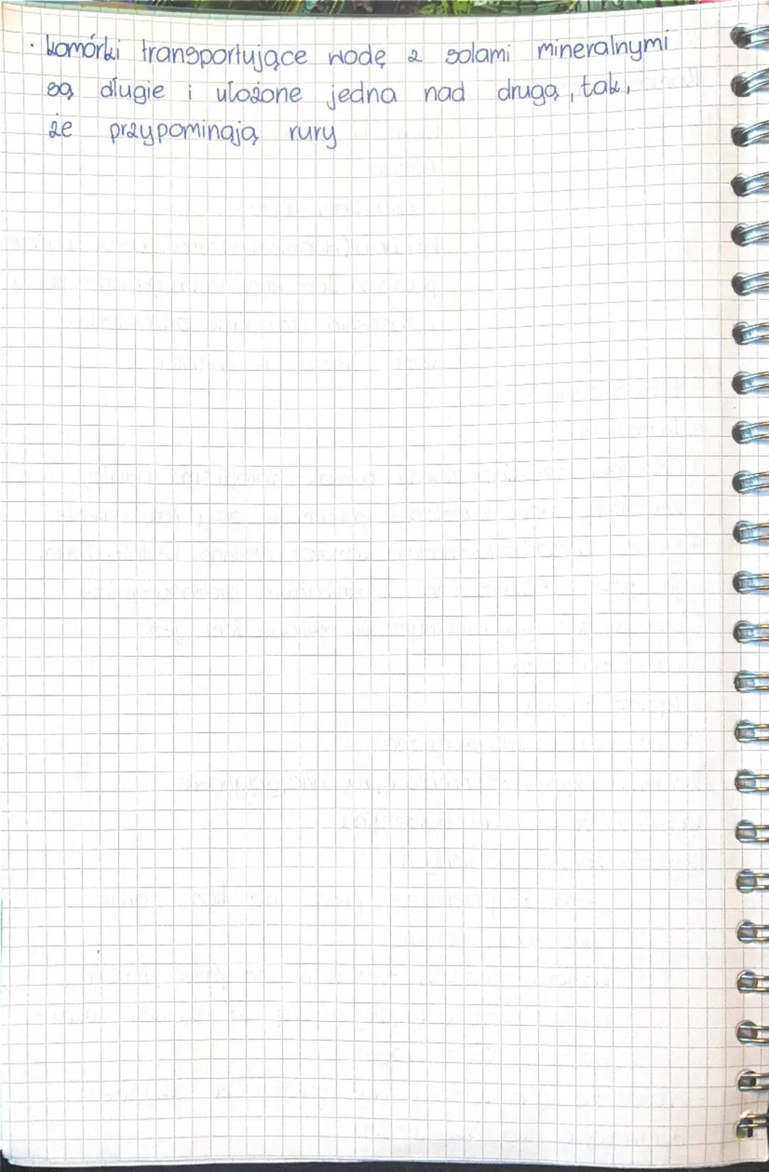 # Biologia

## Klasa 5

## Komórka zwierzęca

![komorka](komorka.png)

1. **Błona komórkowa** - oddziela wnętrze komórki od otoczenia i tran