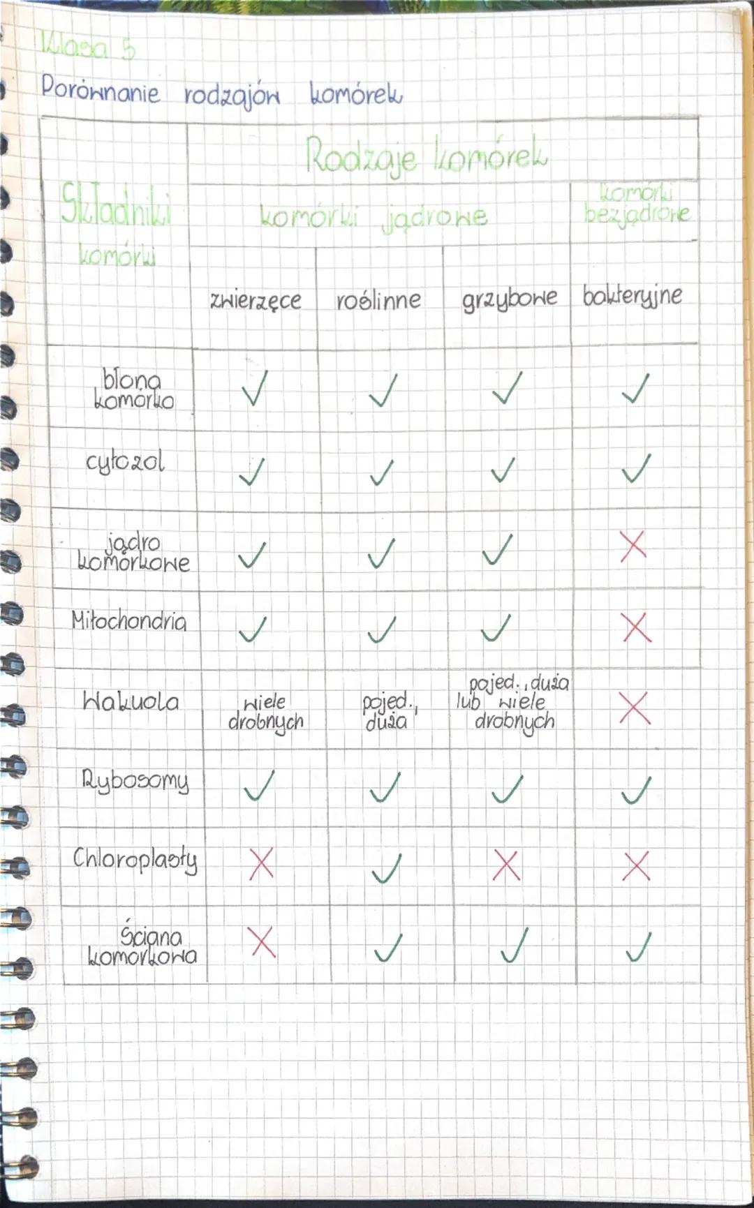 # Biologia

## Klasa 5

## Komórka zwierzęca

![komorka](komorka.png)

1. **Błona komórkowa** - oddziela wnętrze komórki od otoczenia i tran