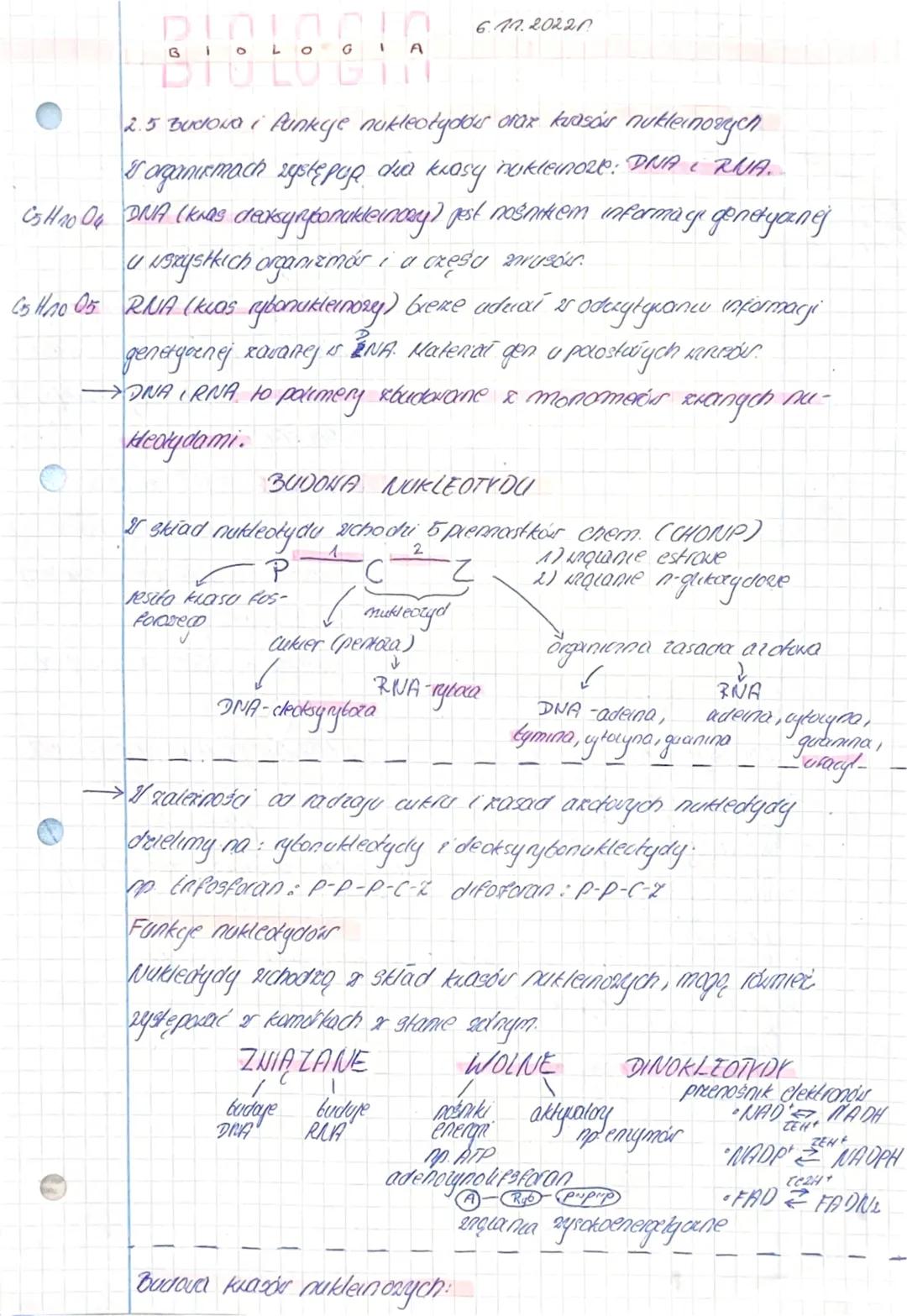 BIGLO GI
O
2.5 Budowa i Punkyje nukleotydows oraz kwasów nukleinowych
& organismach zyste pop dia krosy nukleinoze: DNA i RNA.
C5H₂0 04 DNA 