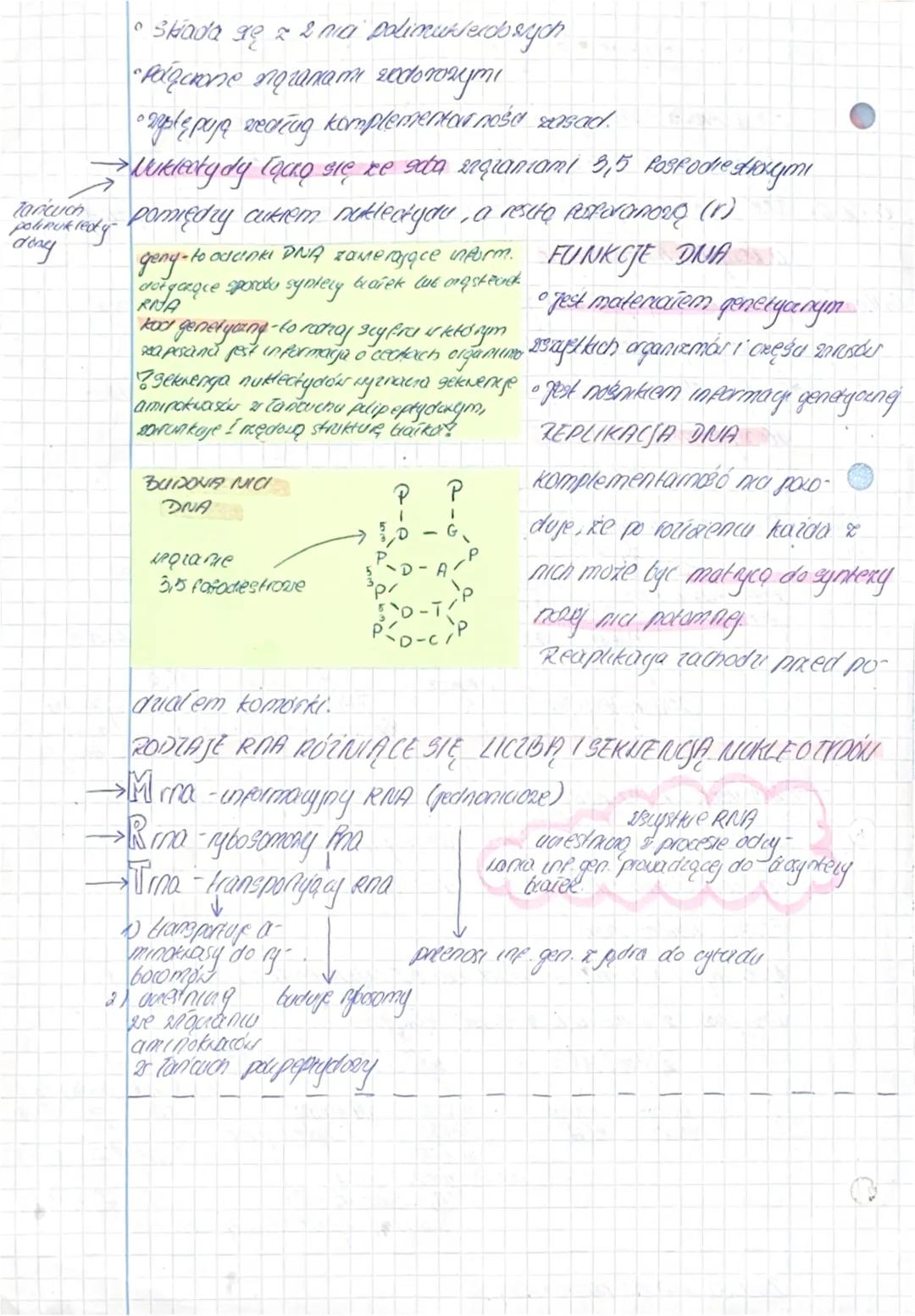 BIGLO GI
O
2.5 Budowa i Punkyje nukleotydows oraz kwasów nukleinowych
& organismach zyste pop dia krosy nukleinoze: DNA i RNA.
C5H₂0 04 DNA 