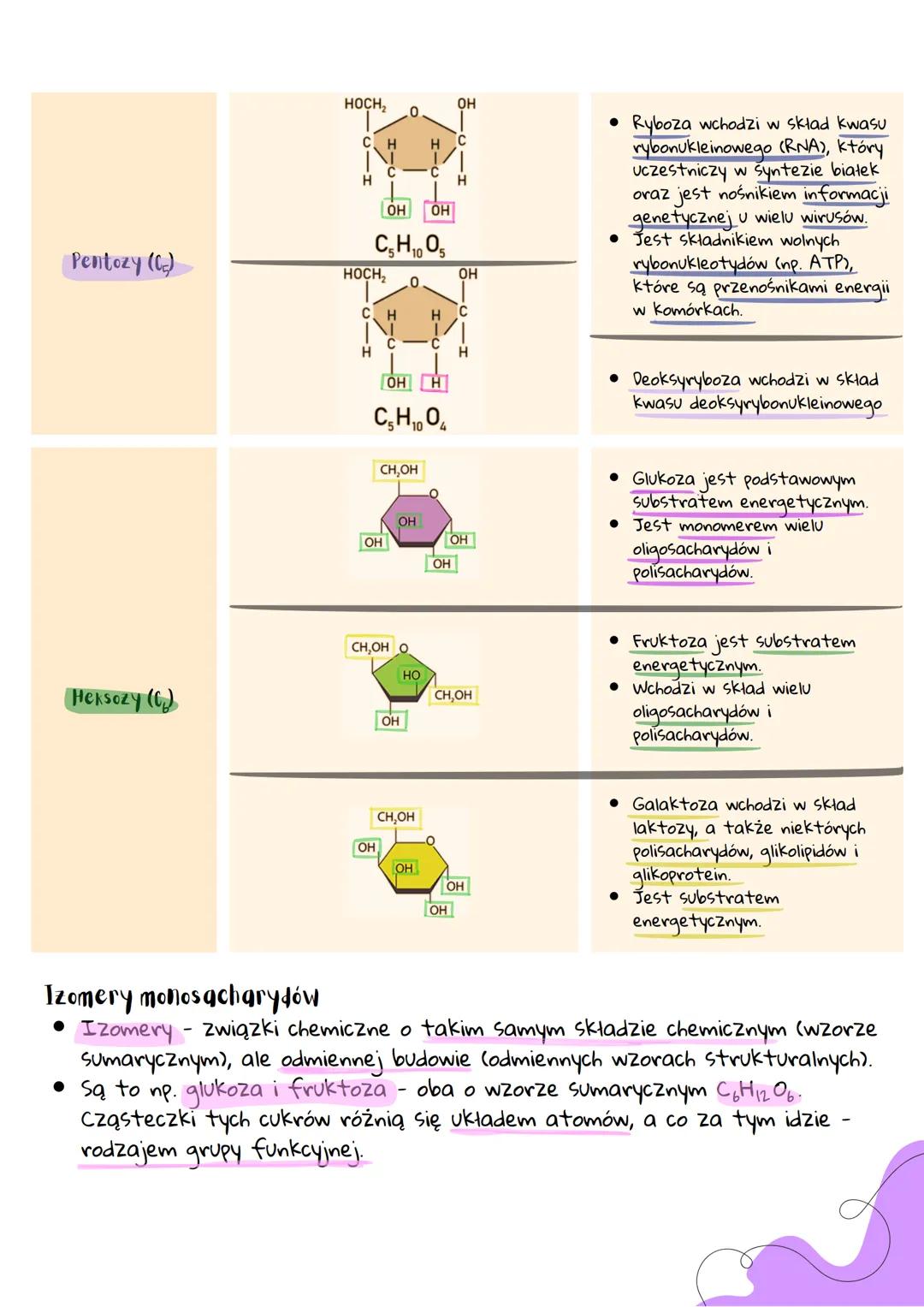 Monosacharydy
• Monosacharydy mają kilka grup hydroksylowych (-OH) i jedną grupę
karbonylową:
o Aldehydową (-CHO)
■lub
o Ketonową (-CO-).
• 