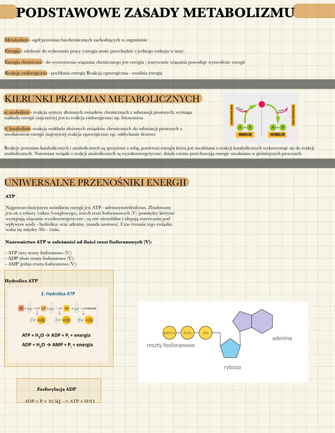 PODSTAWOWE ZASADY METABOLIZMU
Metabolizm - ogół przemian biochemicznych zachodzących w organizmie
Energia - zdolność do wykonania pracy (ene