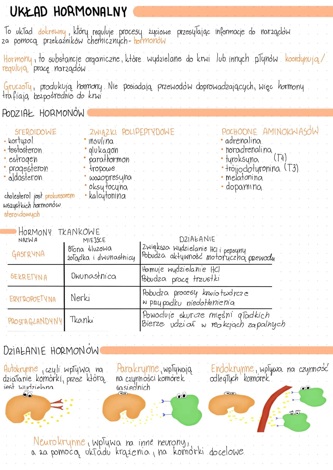 UKŁAD HORMONALNY
To ukTad dokrewny, ktory requluje procesy życiowe przesyłając informacje do narządów
za pomocą przekaźników chemicznych - h