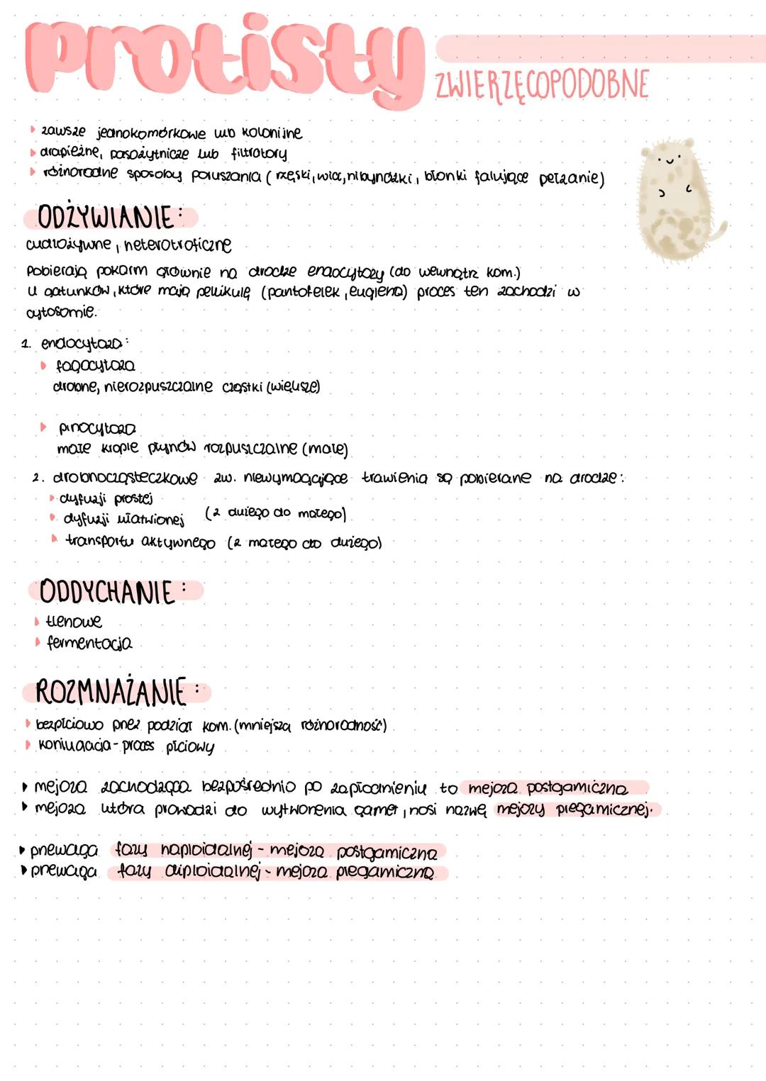 # Protisty ZHIENZECOPODOBNE

- zawsze jednokomórkowe wo koloniine
- arapieżne, pasożytnicze lub filtrotory
- różnorodne sposoby poruszania (