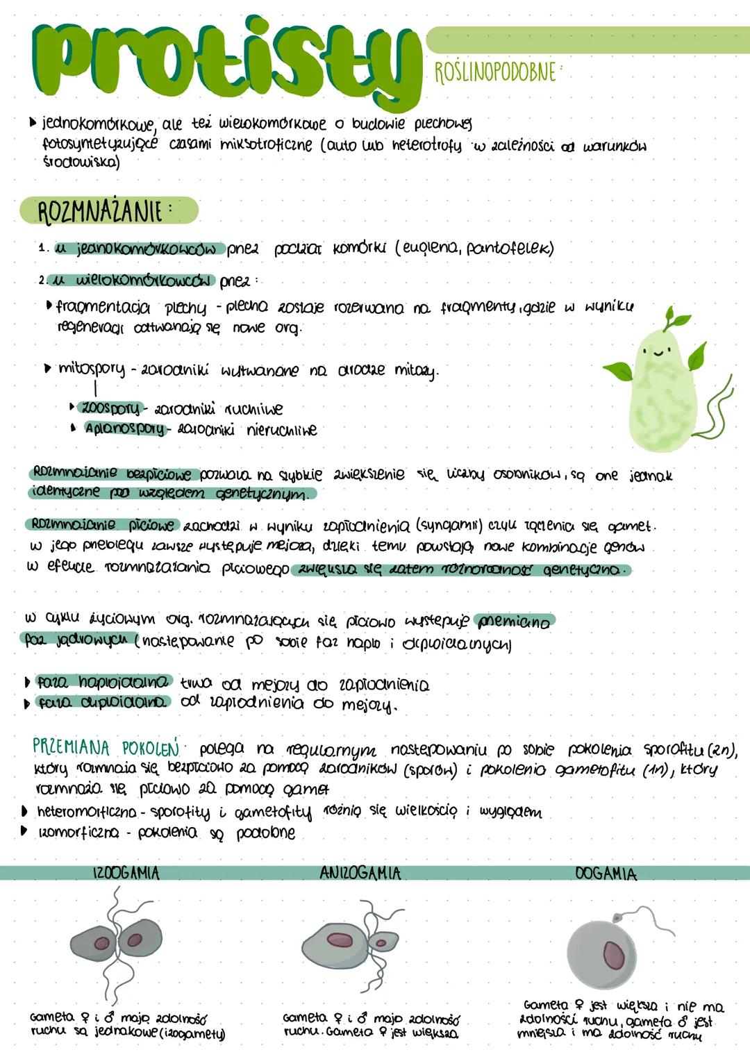 # Protisty ZHIENZECOPODOBNE

- zawsze jednokomórkowe wo koloniine
- arapieżne, pasożytnicze lub filtrotory
- różnorodne sposoby poruszania (
