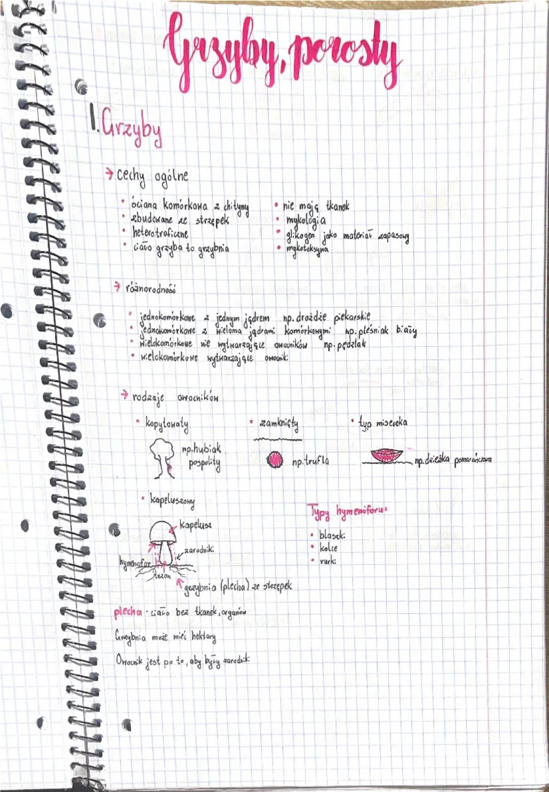 # Grzyby, porosty

1. Grzyby

→Cechy ogólne

*   ociana komórkowa z chityny
*   zbudowane ze strzępek
*   heterotroficene
*   ciavo grzyba t