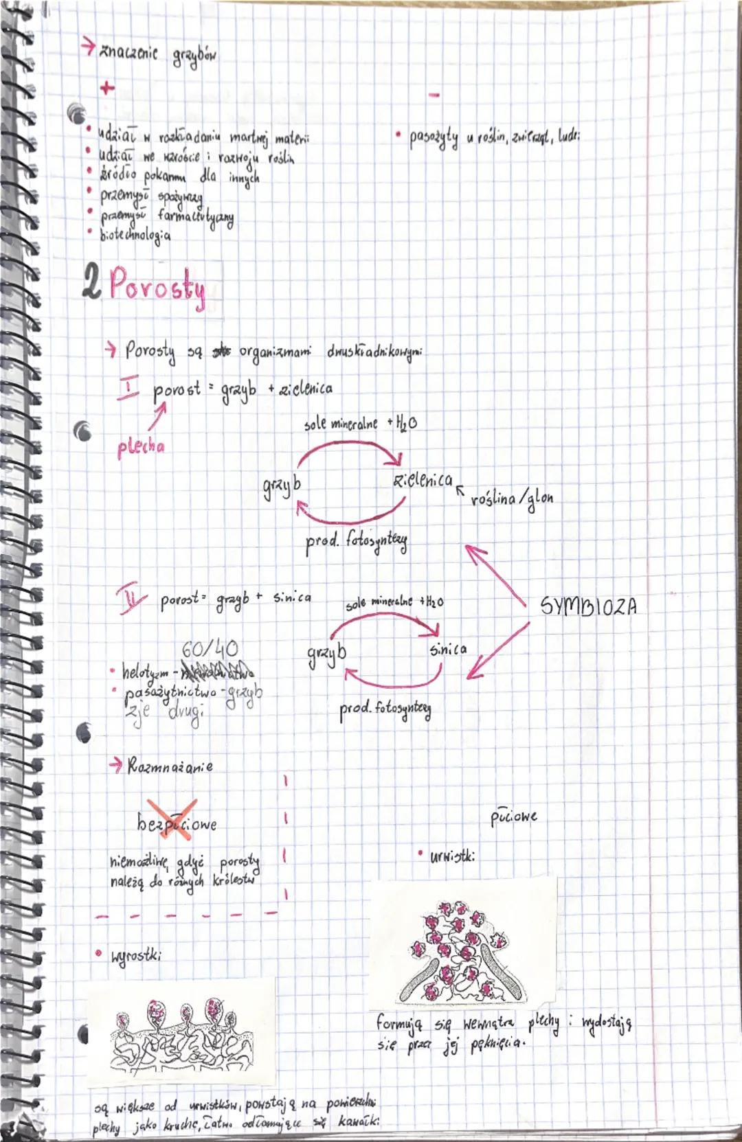# Grzyby, porosty

1. Grzyby

→Cechy ogólne

*   ociana komórkowa z chityny
*   zbudowane ze strzępek
*   heterotroficene
*   ciavo grzyba t