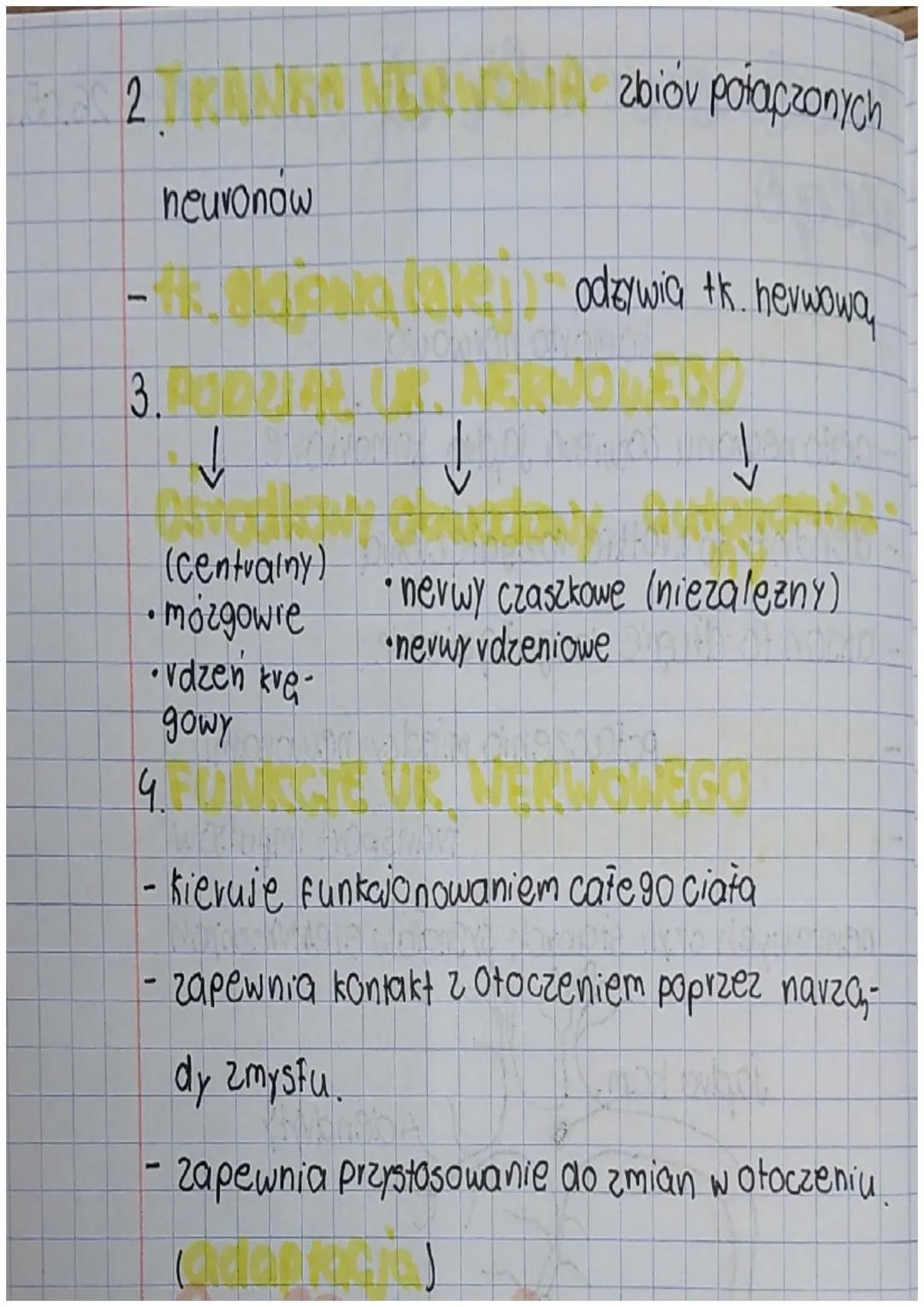 # budowa i rola uk. nowoo~ 26.05.23

wego

1.

- komórka nerwowa

- ciato neuronu zawiera jadro komórkowe

- dendvyty to krotkie vozgałęzien