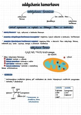 Know oddychanie tlenowe, oddychanie beztlenowe, fermentacja  thumbnail