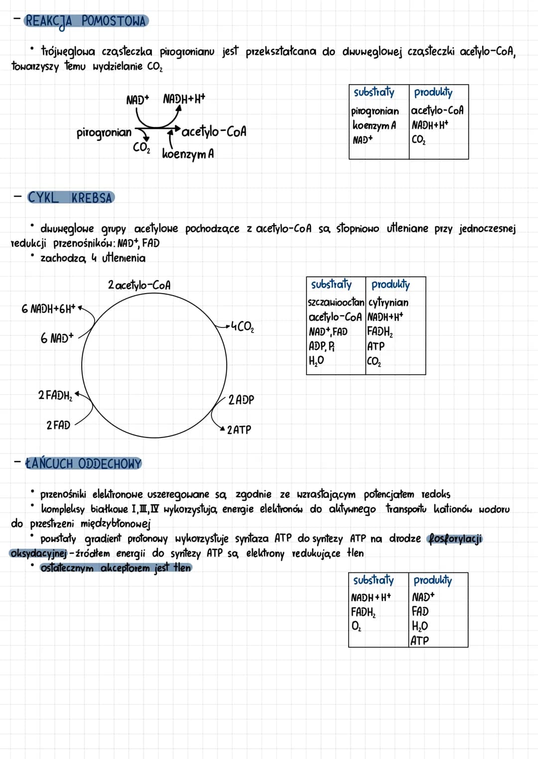 ●
-
GLIKOLIZA
etapy oddychania tlenowego:
glikoliza-zachdzi w cytozolu
2 reakcja pomostowa-zachodzi w matrix
3 cykl krebsa-zachodzi w matrix