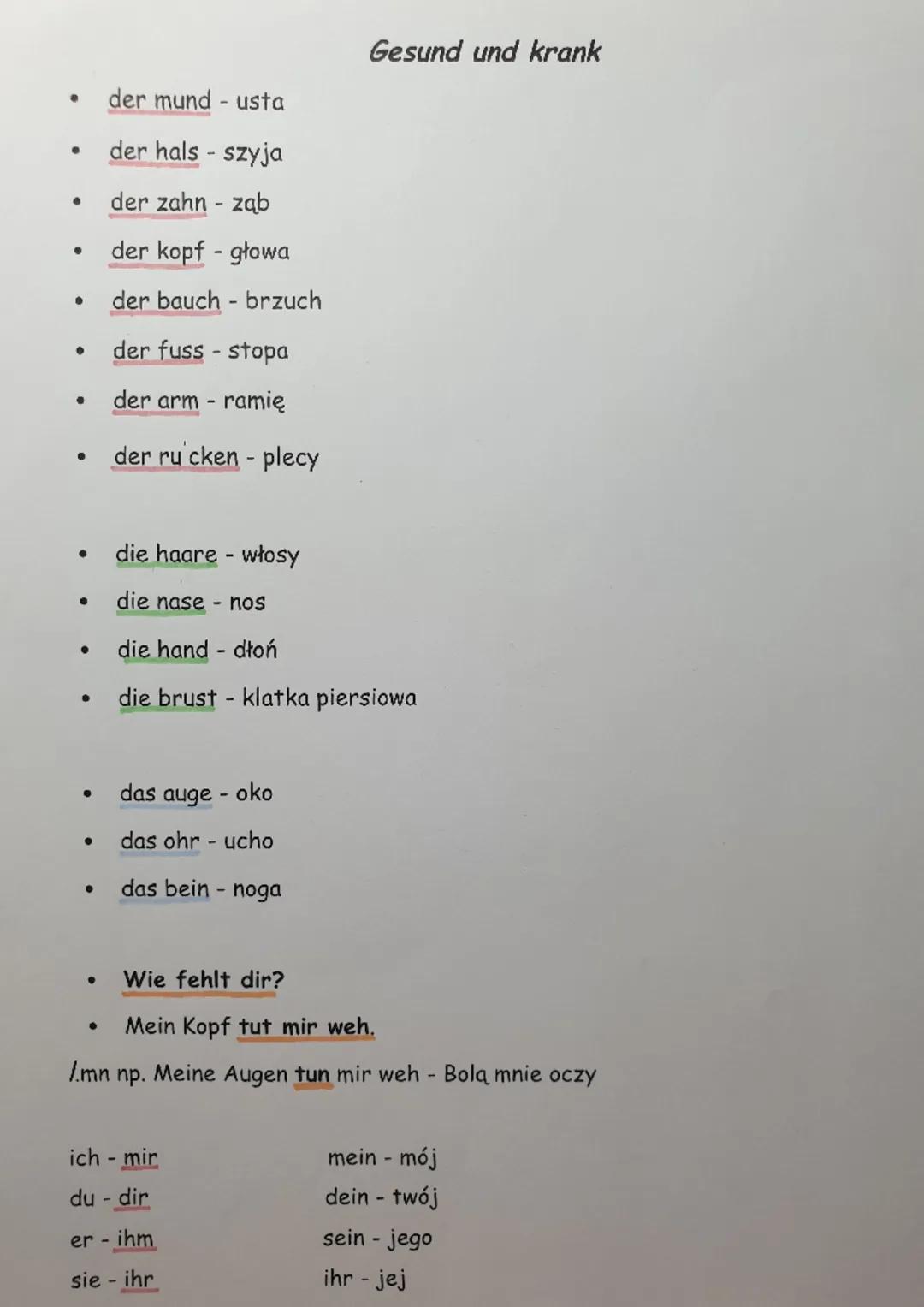 ●
●
●
●
●
●
●
●
●
der mund - usta
der hals - szyja
der zahn - ząb
der kopf - głowa
der bauch - brzuch
der fuss-stopa
der arm - ramię
der ru 