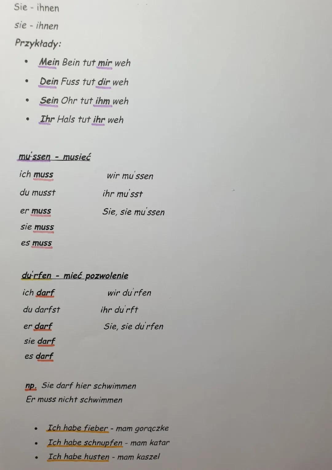 ●
●
●
●
●
●
●
●
●
der mund - usta
der hals - szyja
der zahn - ząb
der kopf - głowa
der bauch - brzuch
der fuss-stopa
der arm - ramię
der ru 