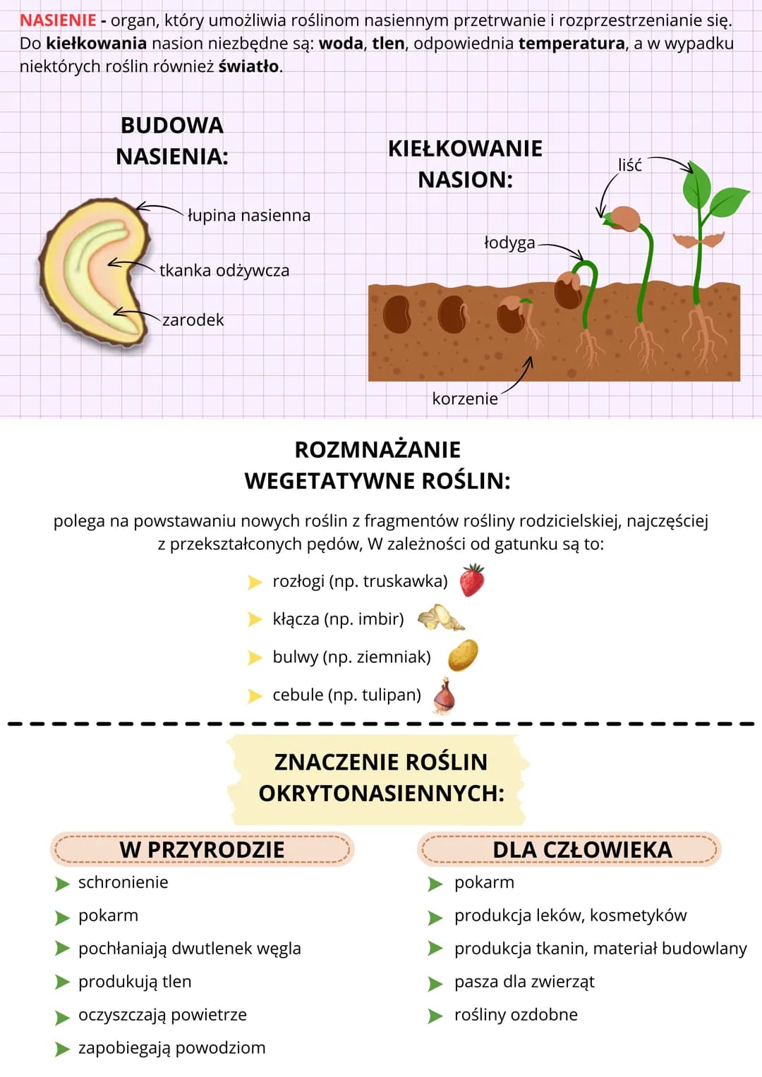 OKRYTONASIENNE
C
•
CECHY ROŚLIN:
.
wytwarzanie obupłciowe:
kwiatów
owoców
przystosowane do życia:
na lądzie
niektóre w wodzie
I
KWIAT - orga