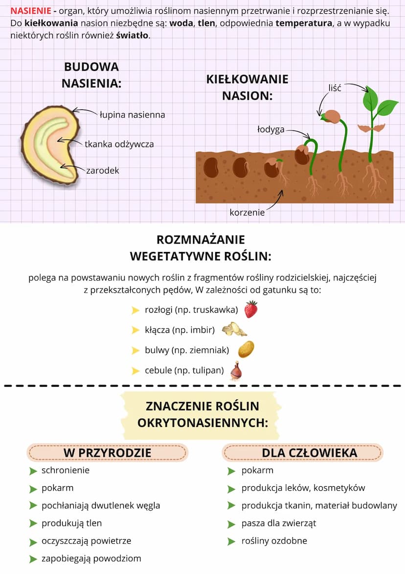 OKRYTONASIENNE
C
•
CECHY ROŚLIN:
.
wytwarzanie obupłciowe:
kwiatów
owoców
przystosowane do życia:
na lądzie
niektóre w wodzie
I
KWIAT - orga